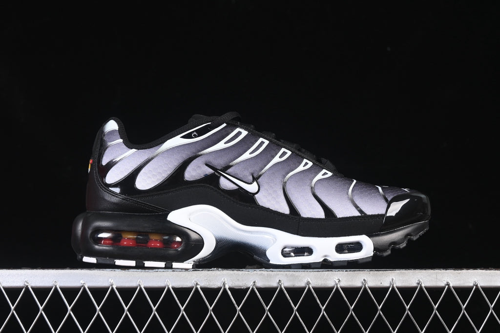 Nike TN DM0032-003