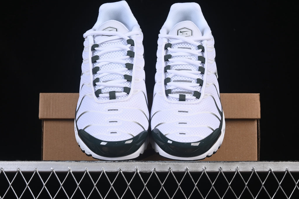 Nike TN DM0032-016