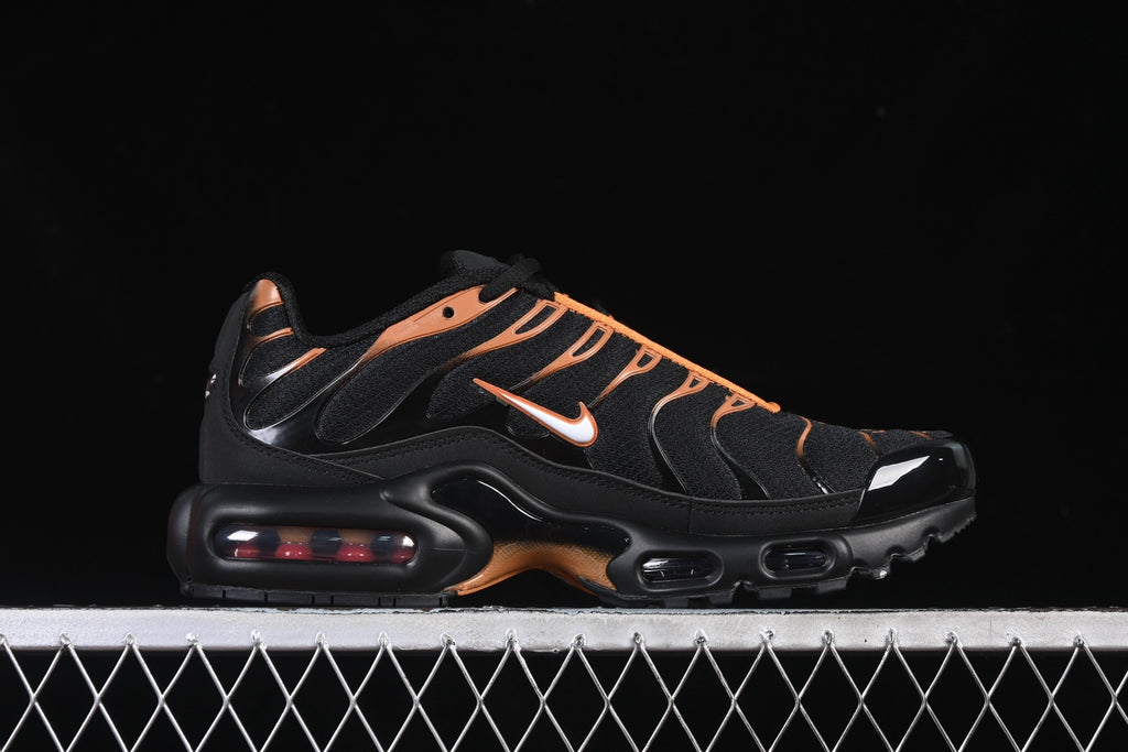 Nike TN FN6949-400
