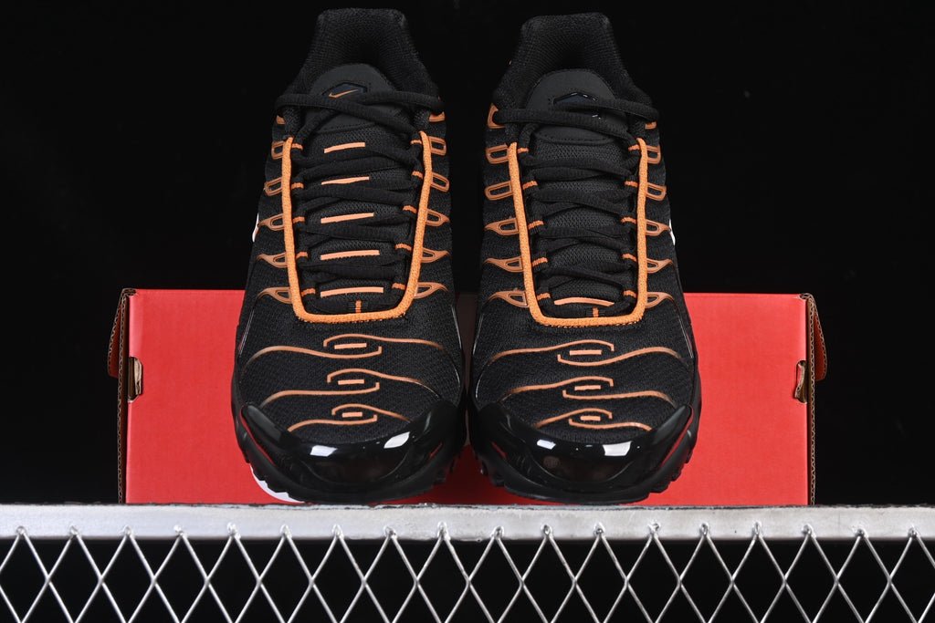 Nike TN FN6949-400