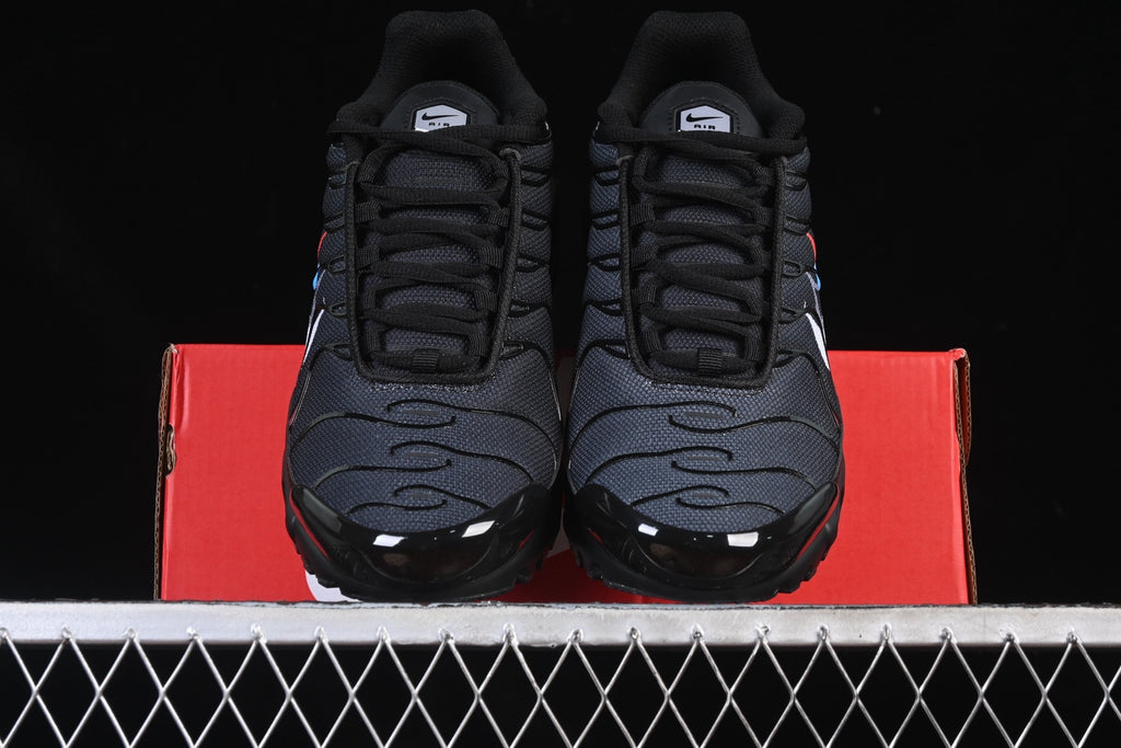 Nike TN FJ4224-001